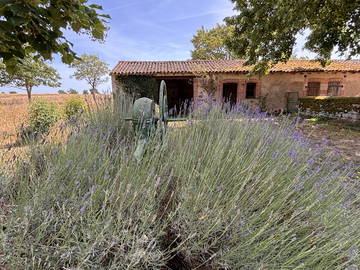 Chambre chez l'habitant à louer à Lathus-Saint-Rémy - photo 2 : autre pièce-2