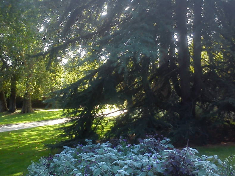 Kolokation Le Mans 154267-4