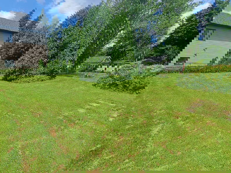 Kolokasie Trois-Rivières 473802-5