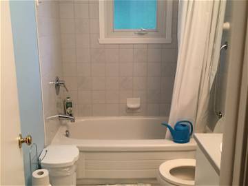 Colocation Québec 259600-8