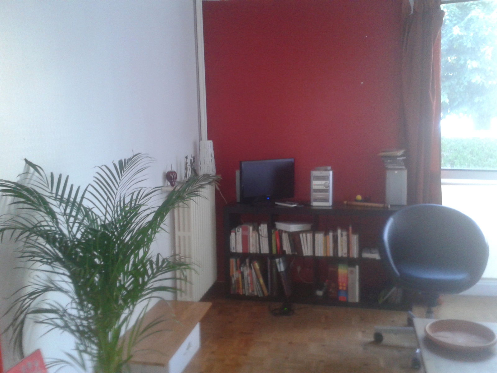 Kolokasie Montreuil 122704