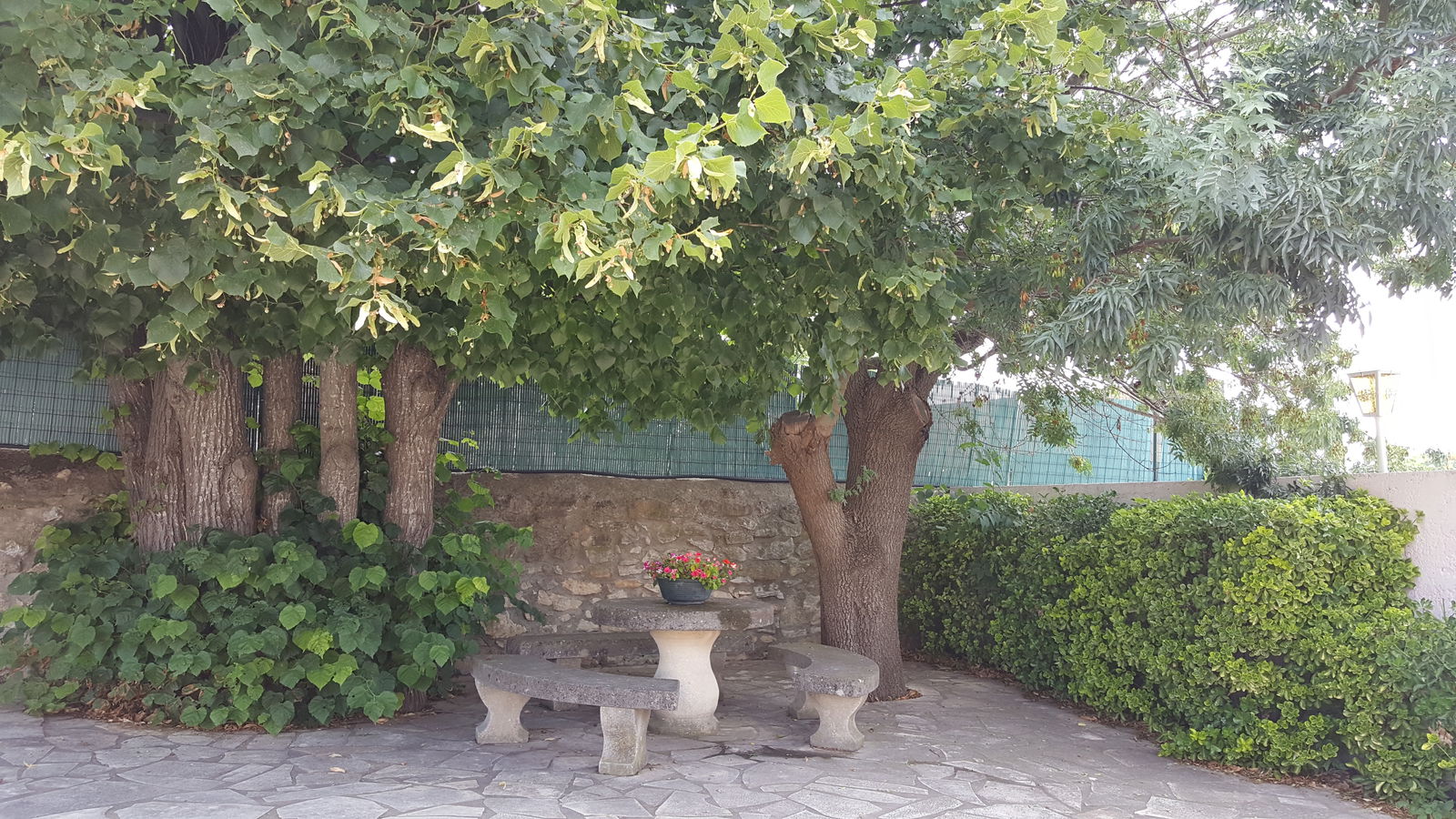 Tutta La Casa Alleins 252267