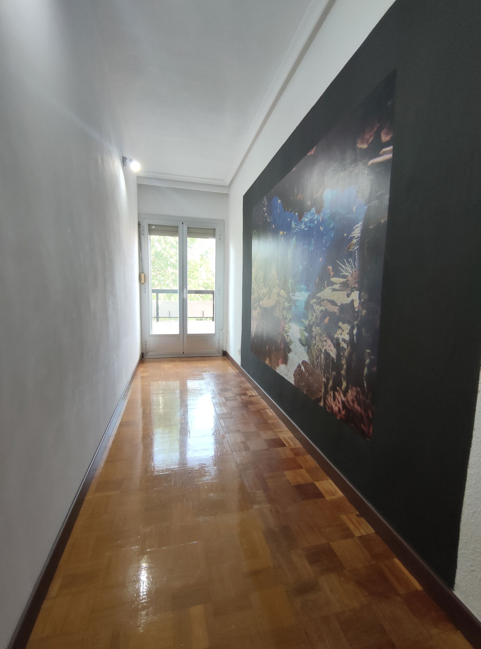 Homestay Alcalá de Henares 260910