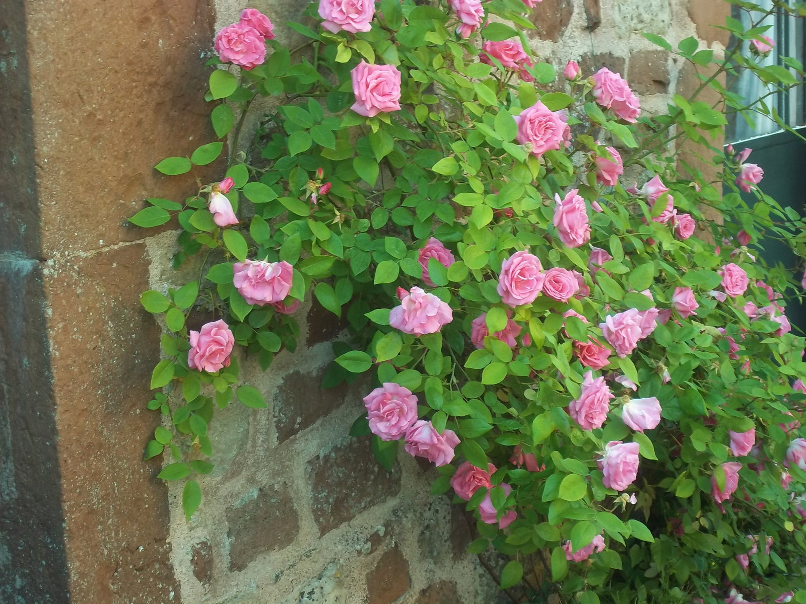 Tutta La Casa Valady 64532