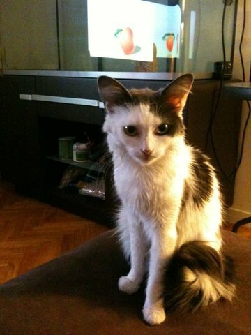 Collocazione Villejuif 18105