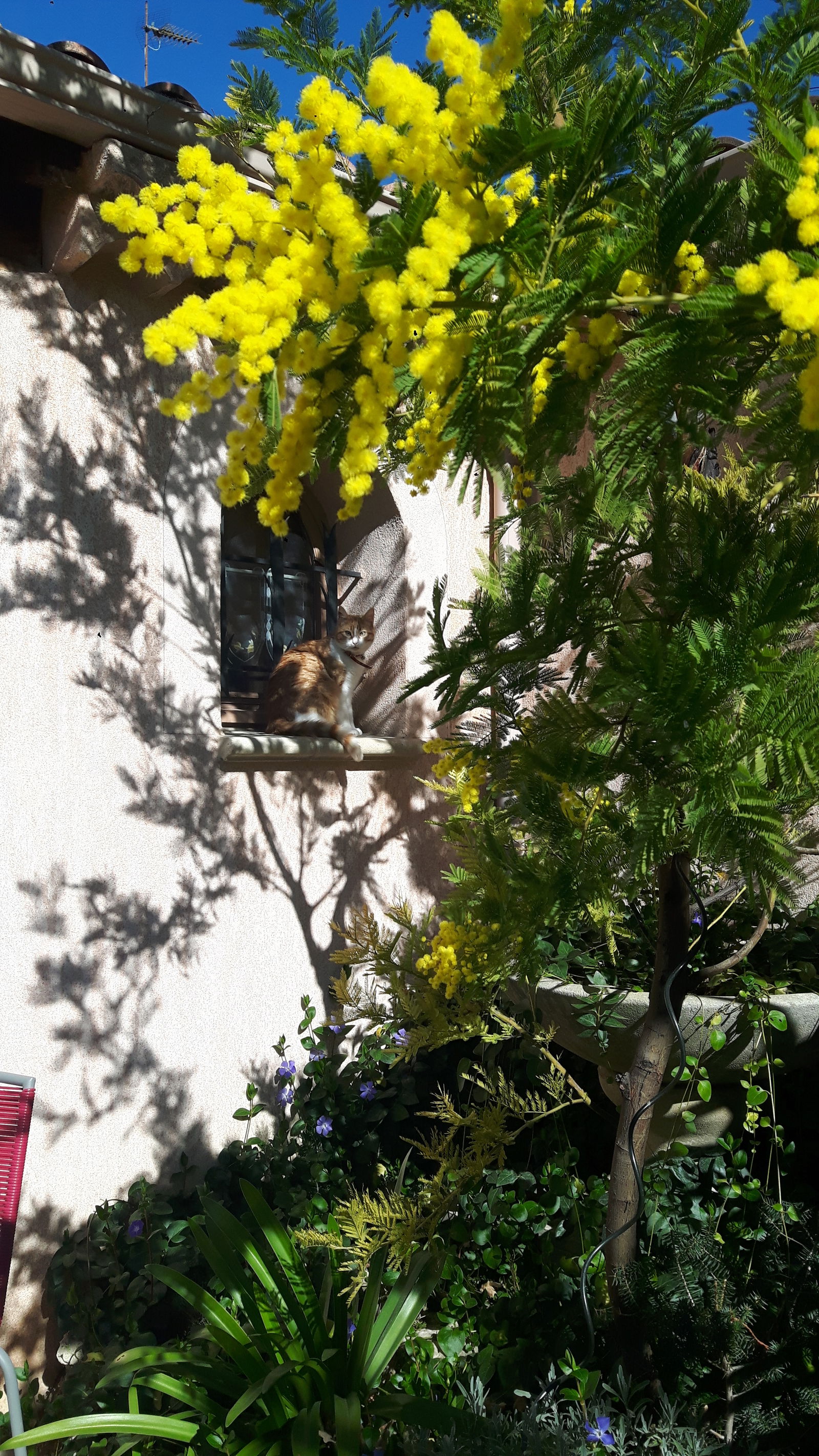 Camere Per Gli Ospiti Donzère 105972