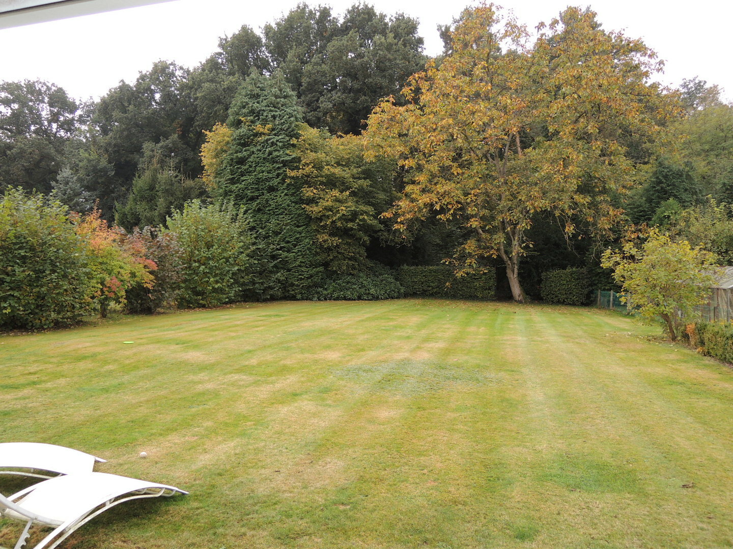 Famiglia Lasne 150569