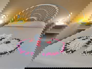 Logement Entier Dominicus 114542-6