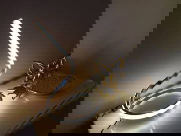 Logement Entier Dominicus 114542-8