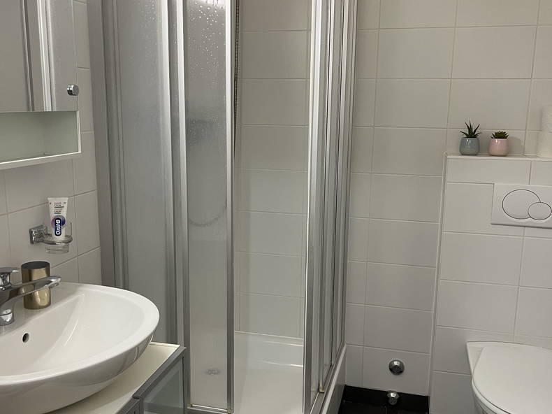 Logement Entier Genève 312045-4