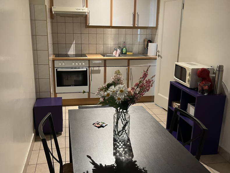 Logement Entier Genève 312045-5