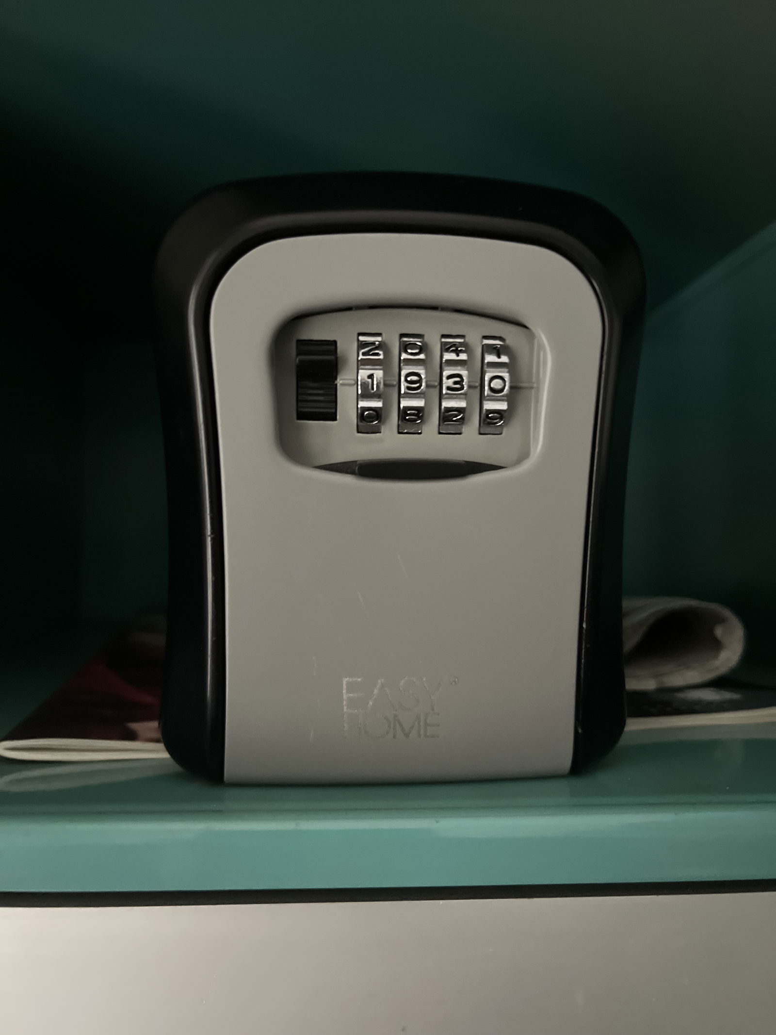 Entire Home Genève 312045