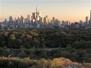 Chambre Chez L'habitant Toronto 256599-6