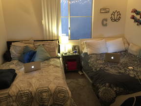 Great shared room, ONE BLOCK from UCLA!