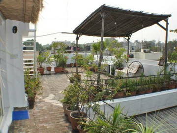 Chambre D'hôte New Delhi 50651-4