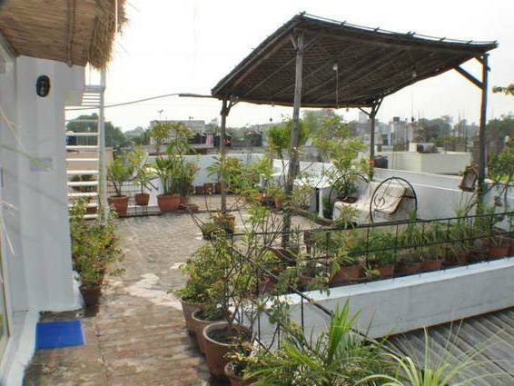 Bed And Breakfast New Delhi 50651-4