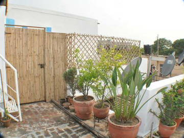 Chambre D'hôte New Delhi 50651-7