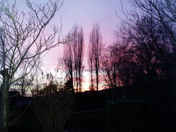 Chambre Chez L'habitant La Queue-En-Brie 262863-4