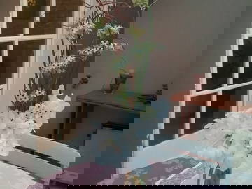 Chambre Chez L'habitant La Queue-En-Brie 262863-7