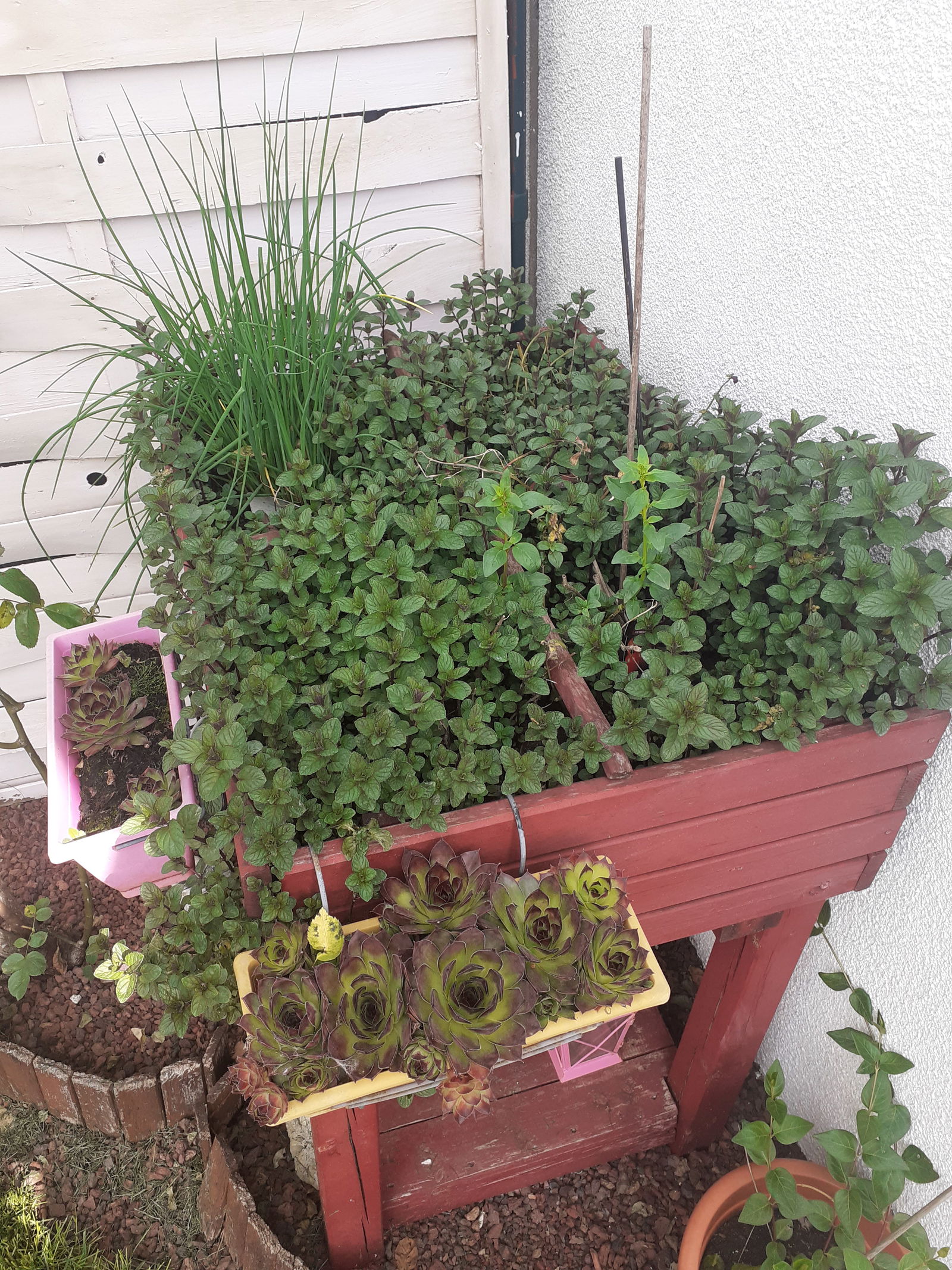 Homestay La Queue-en-Brie 262863