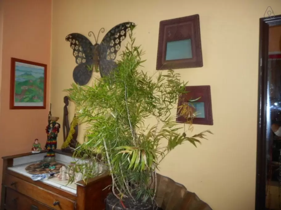Bed And Breakfast Schaerbeek 387634