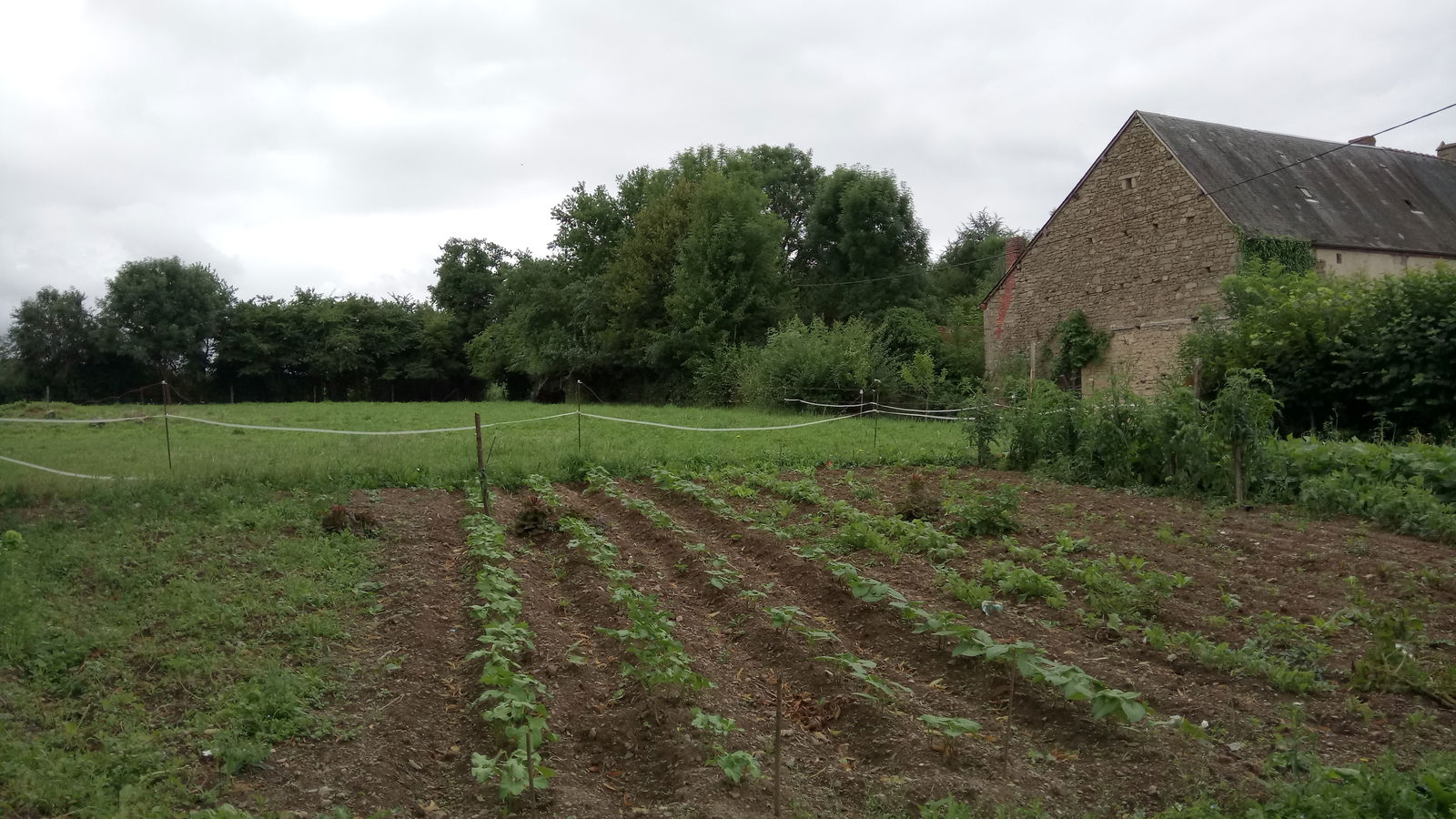 Homestay Bonnat 223241