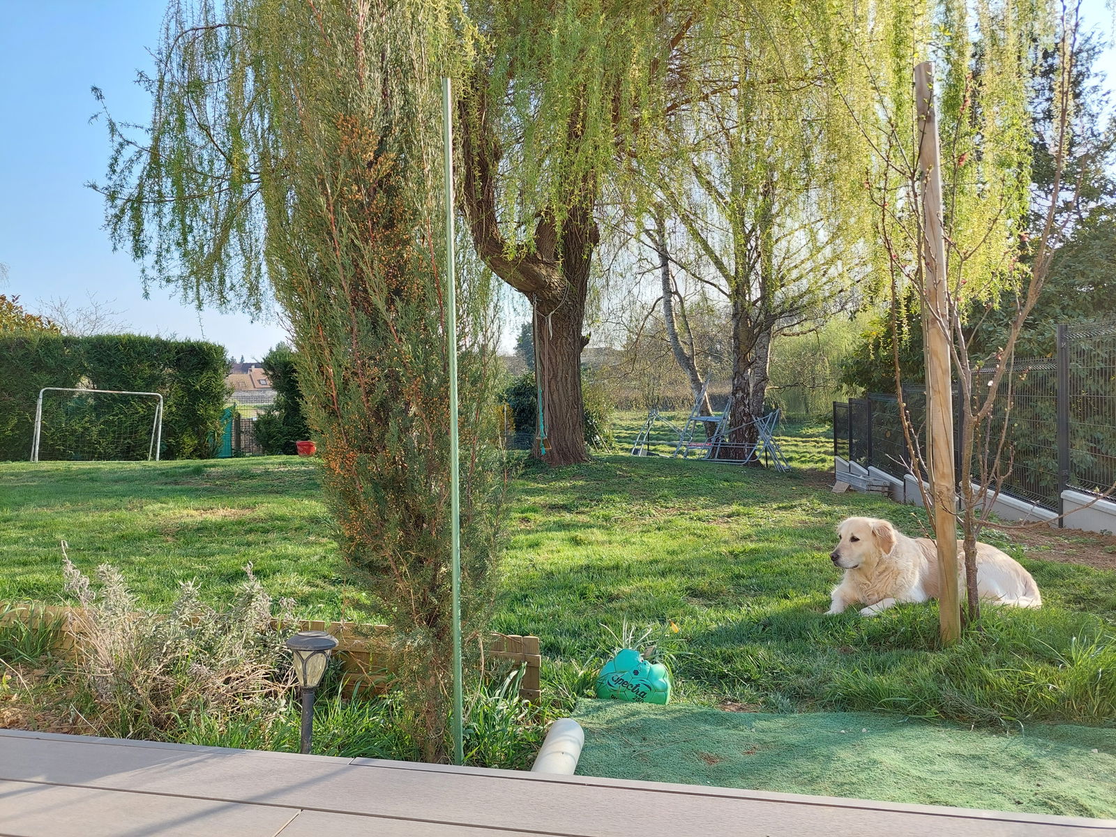 Colocatie Cerny 259710