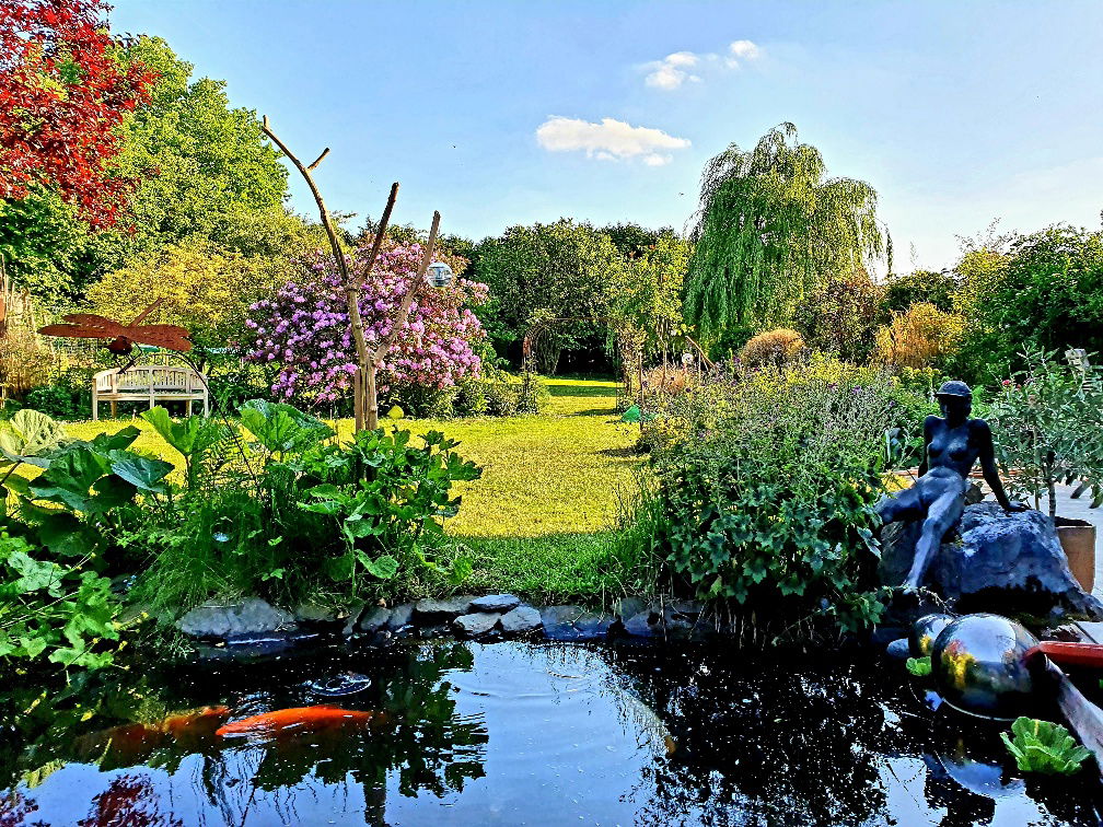 Kolokasie Incourt 161263