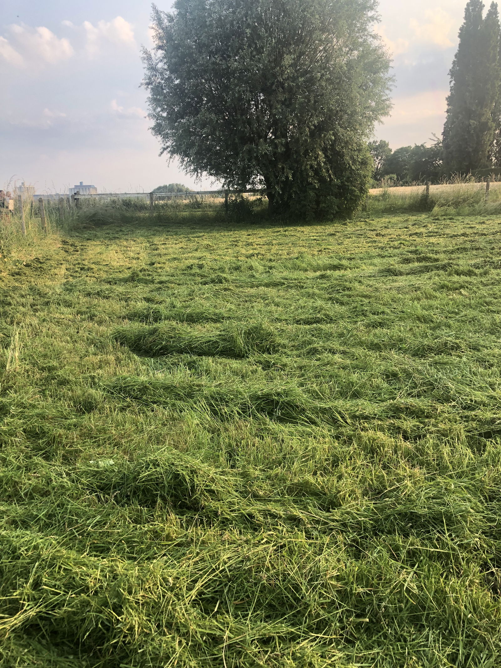 Gastgezin Cantin 603072