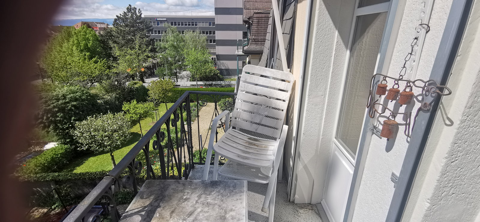 Kolokasie Lausanne 246641