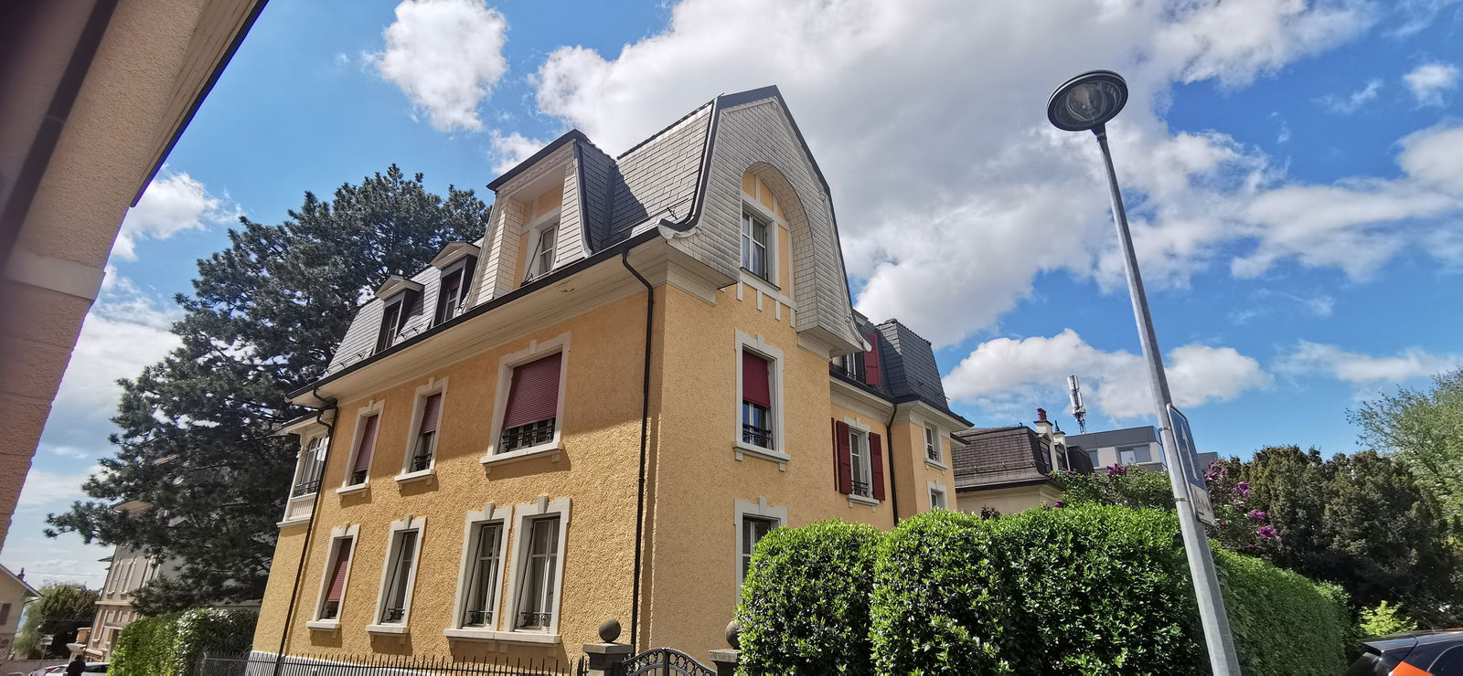 Kolokasie Lausanne 246641