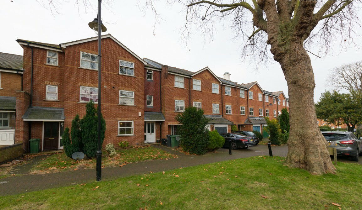 Kolokasie London 179840