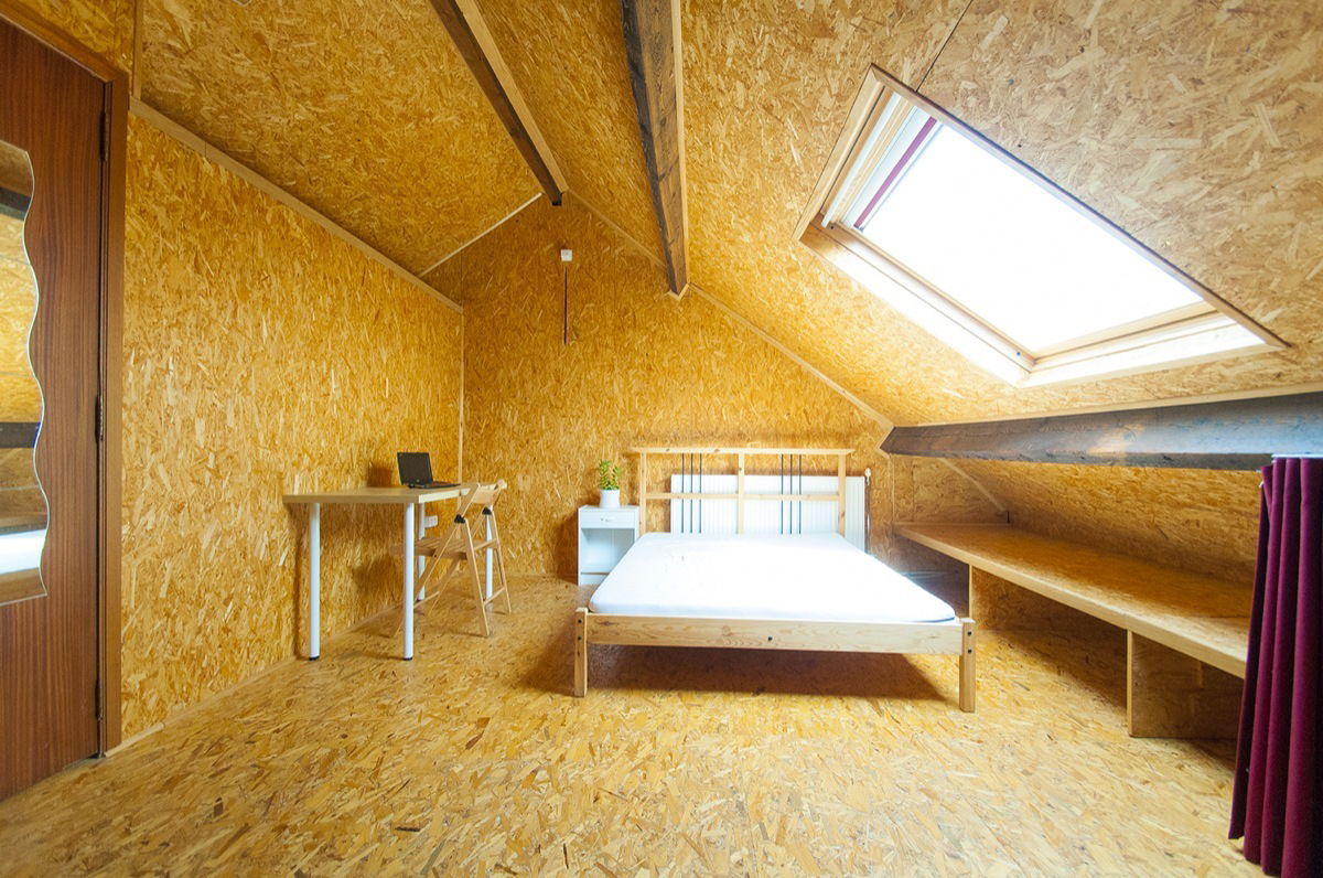 Kolokasie Mons 116737