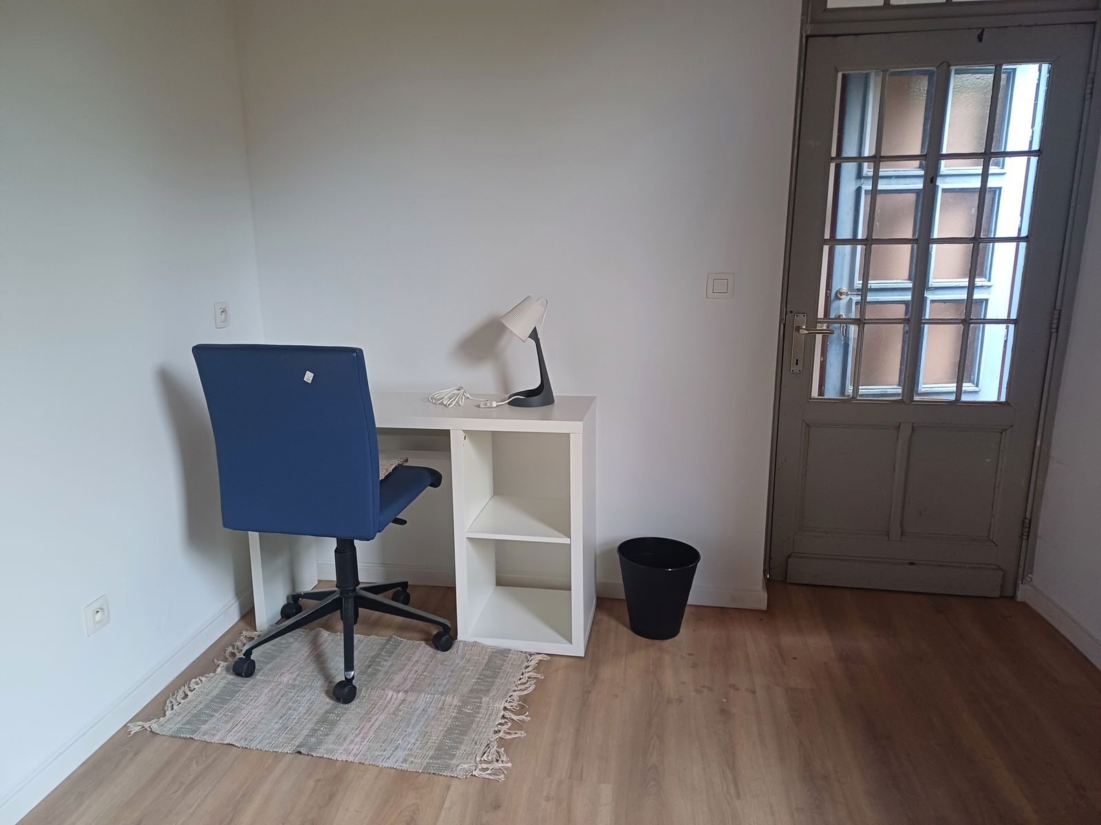 Kolokasie Charleroi 420386