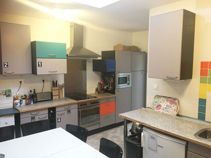 Kolokasie Croix 639403