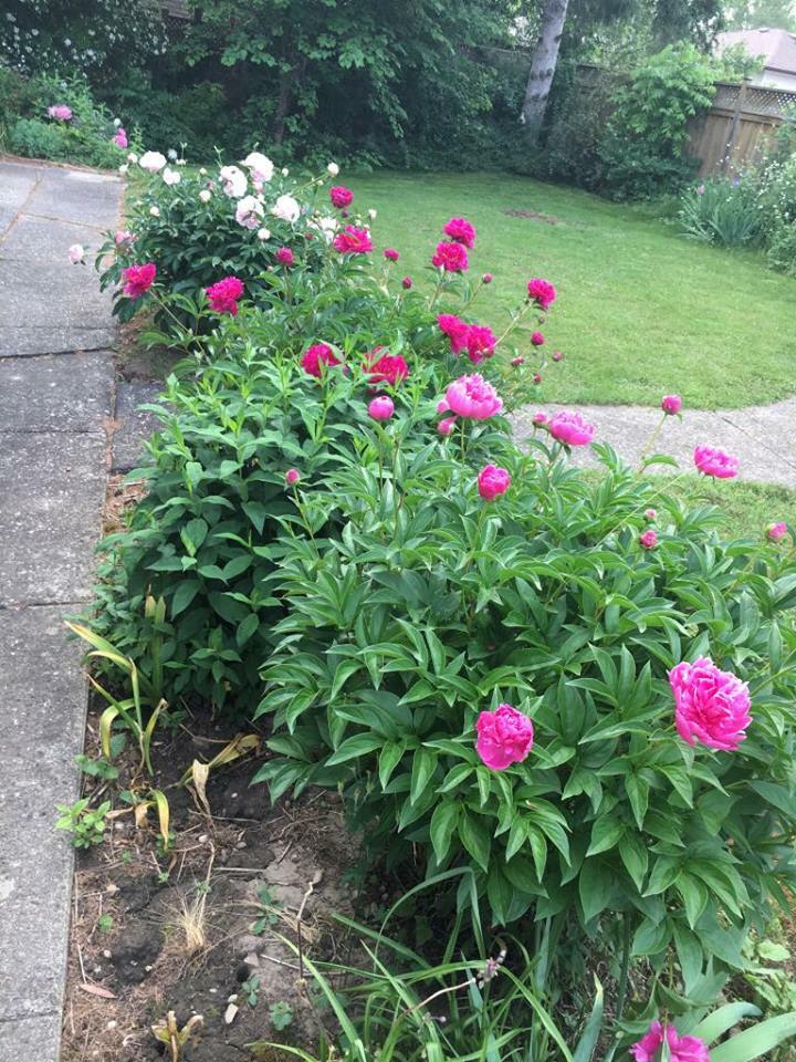 Tuisverblyf Guelph 250433