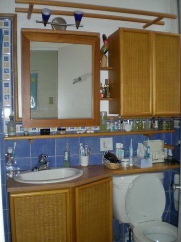 Kolokasie Montréal 53768