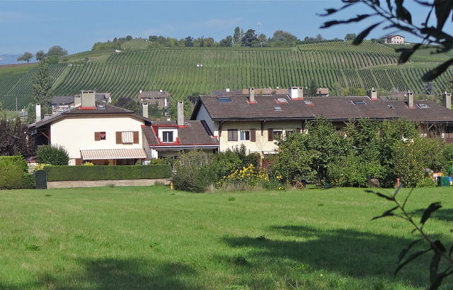 Tuisverblyf Bernex 58040