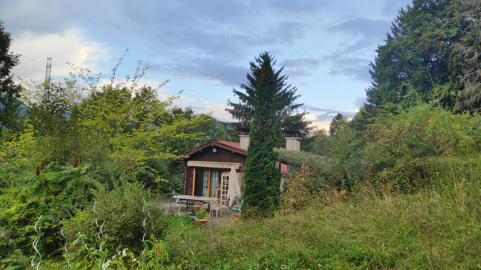 Kolokasie Les Mollettes 245982