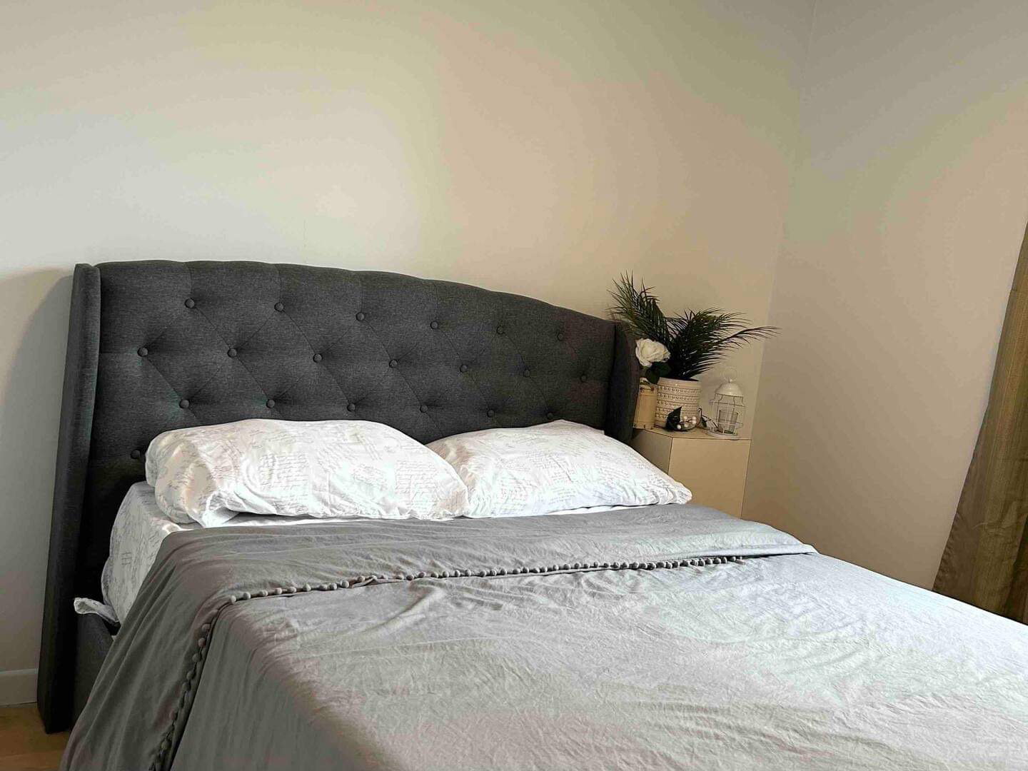 Kolokasie Québec 472093