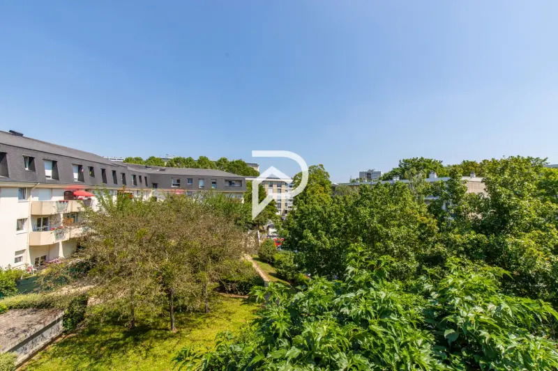 Kolokasie Massy 255359