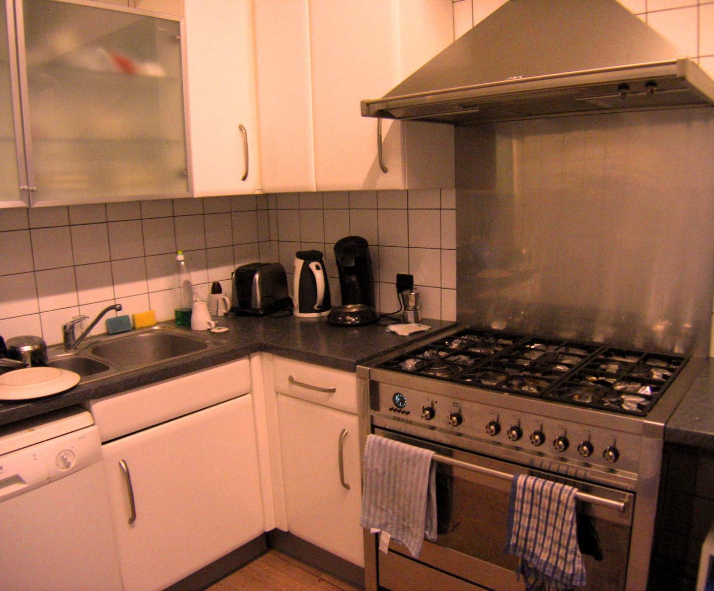 Kolokasie Schaerbeek 125544