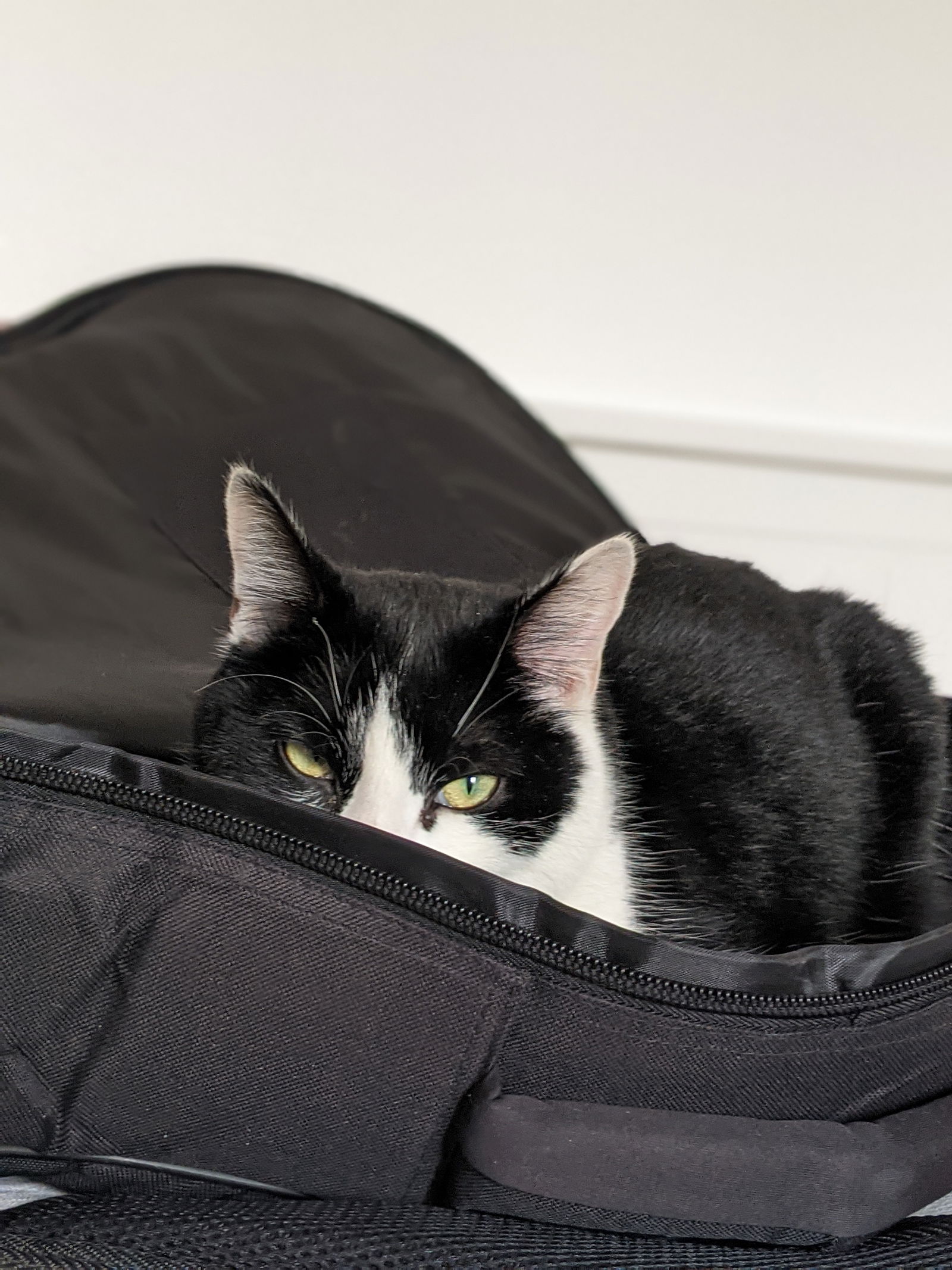 Tuisverblyf Noisy-le-Sec 256378