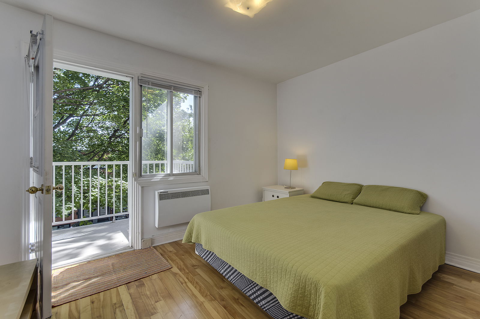 Kolokasie Montréal 162580