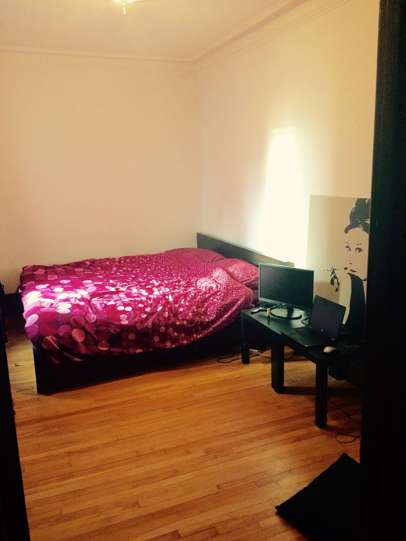 Kolokasie Montréal 151880