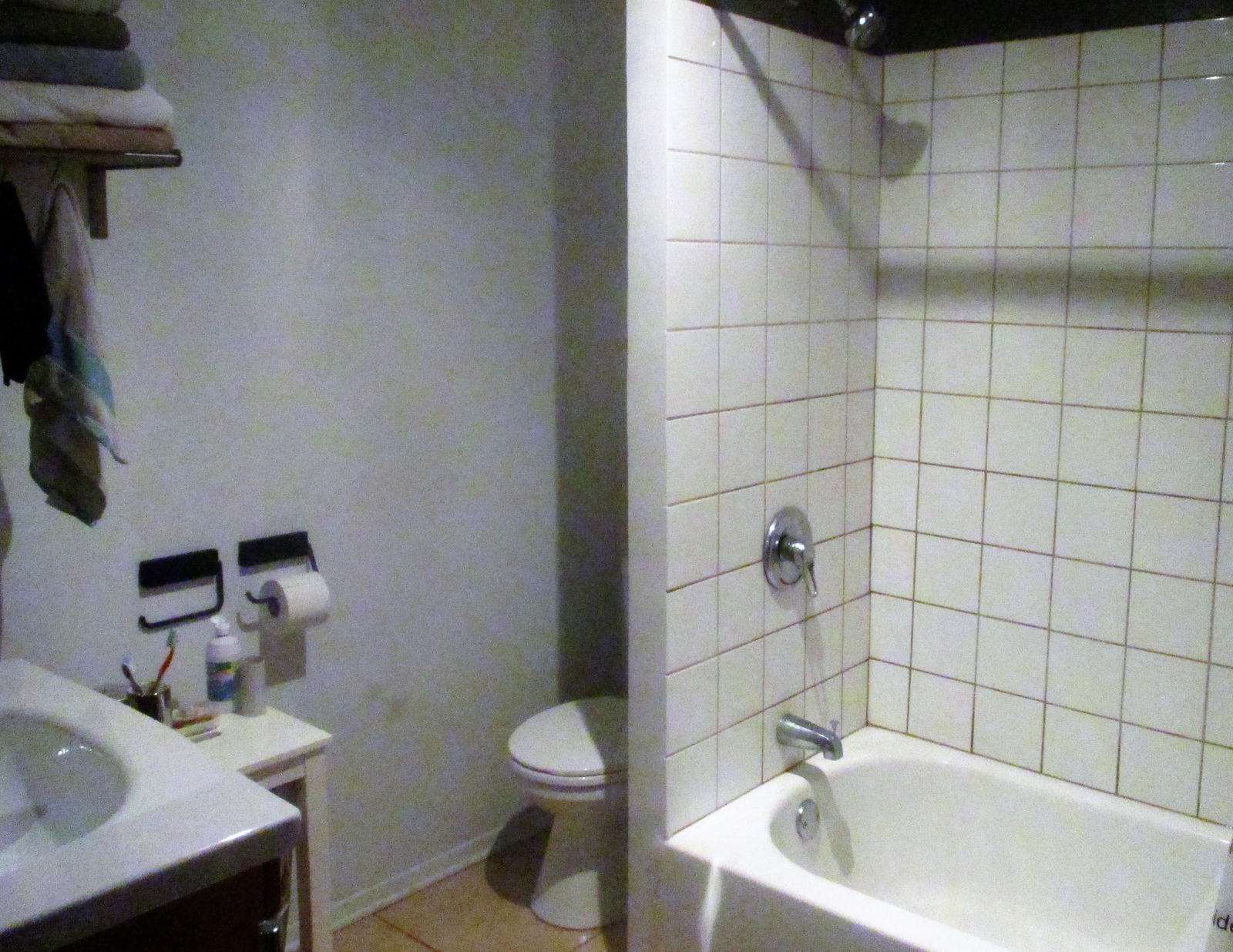 Kolokasie Montréal 239866