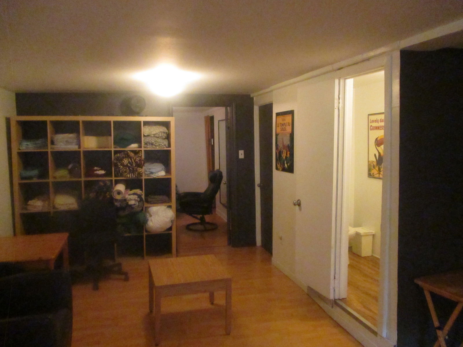 Kolokasie Montréal 239866