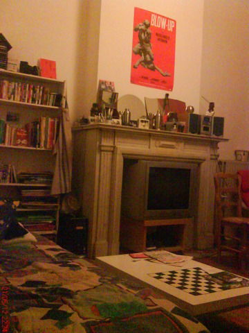 Kolokasie Bruxelles 40060