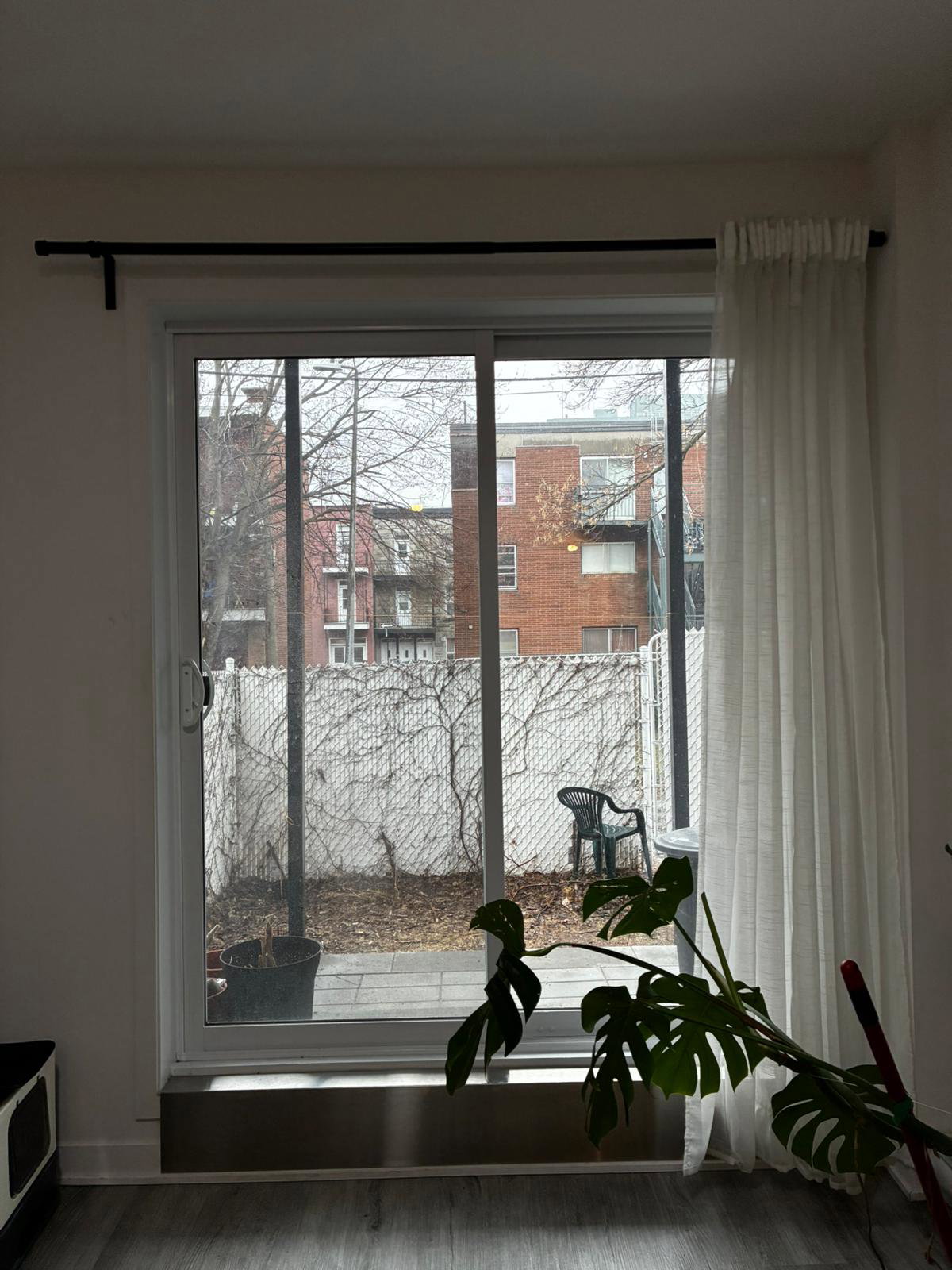 Kolokasie Montréal 663676