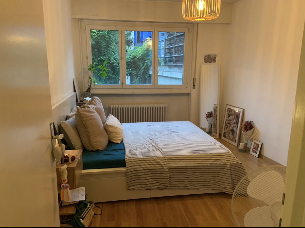 Kolokasie Pully 404883